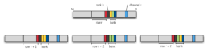 Row Selection