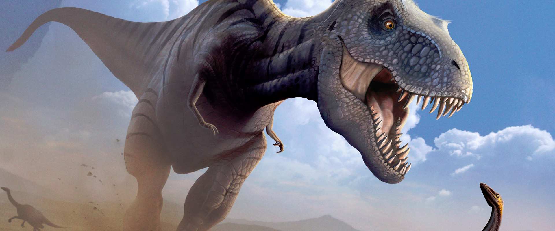 From website-locker to DDoS: Rex! - Stormshield