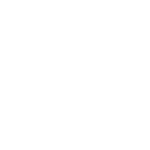 Icon-Training-Diploma-Hat