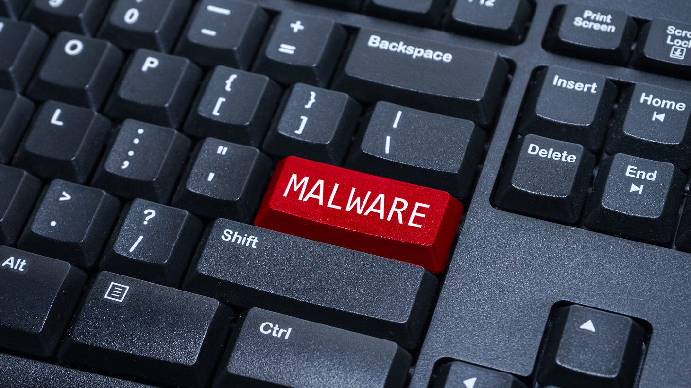 Analyzing a formgrabber malware Stormshield